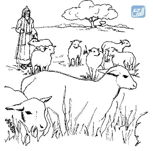 صور خرفان للتلوين جاهزة للطباعة