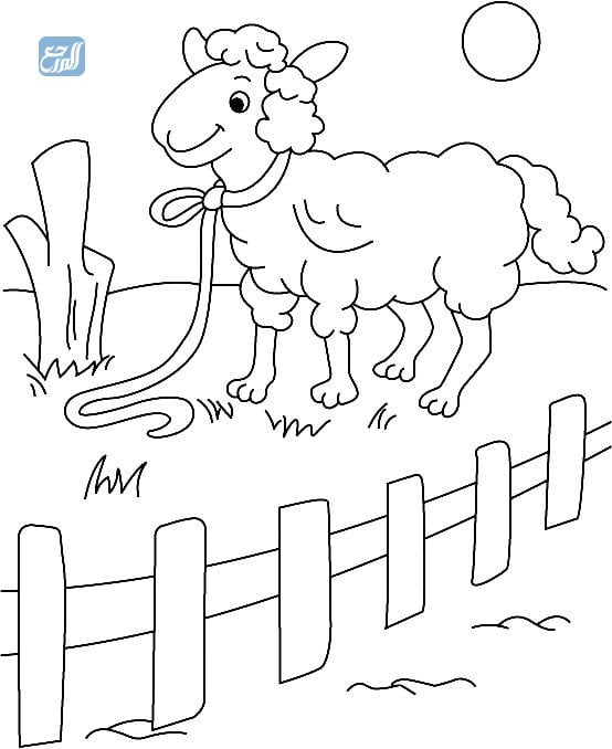 كبش العيد للتلوين