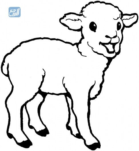 أجمل صور خروف العيد للتلوين 2021