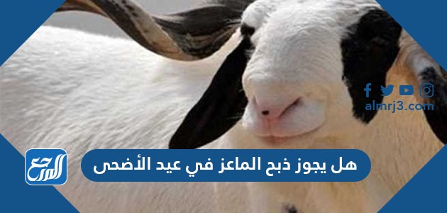 هل يجوز ذبح الماعز في عيد الأضحى