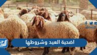اضحية العيد وشروطها