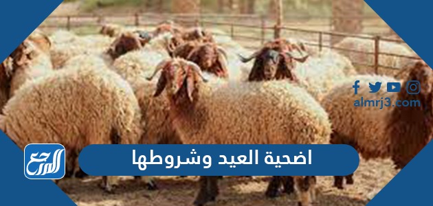 اضحية العيد وشروطها