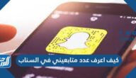 كيف اعرف عدد متابعيني في السناب شات 2025