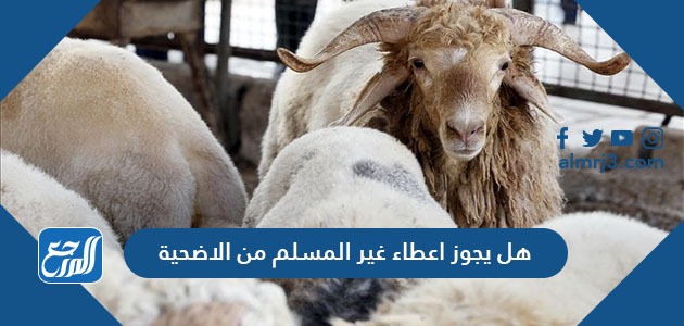 هل يجوز اعطاء غير المسلم من الاضحية