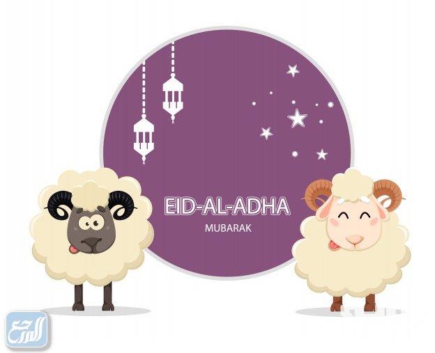 سكرابز خرفان عيد الاضحى 1442