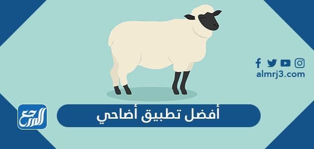 أفضل تطبيق أضاحي