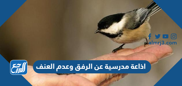 اذاعة مدرسية عن الرفق وعدم العنف كاملة