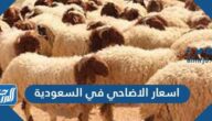 اسعار الاضاحي في السعودية 2022 / 1443 وطريقة حجز الأضحية اسعار الاضاحي في السعودية 2022 / 1443 وطريقة حجز الأضحية