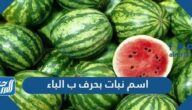 اسم نبات بحرف ب الباء