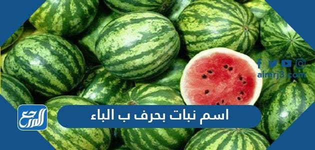 اسم نبات بحرف ب الباء