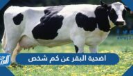 اضحية البقر عن كم شخص