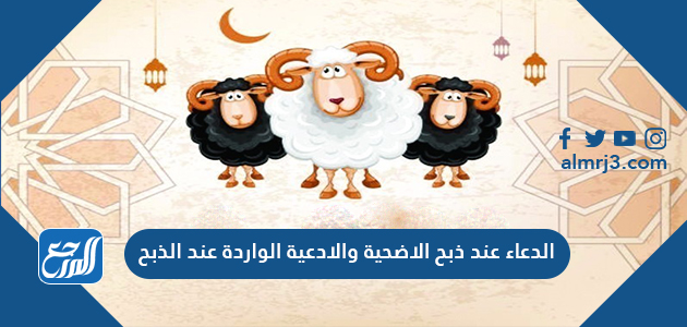 الدعاء عند ذبح الاضحية والادعية الواردة عند الذبح