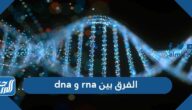 الفرق بين dna و rna