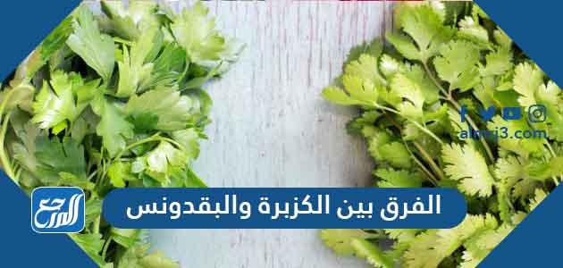 الفرق بين الكزبرة والبقدونس