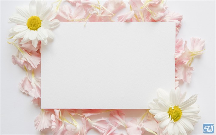 بطاقات فارغة جاهزة للكتابة