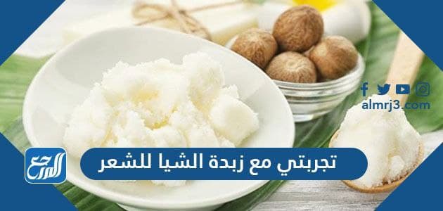 تجربتي مع زبدة الشيا للشعر