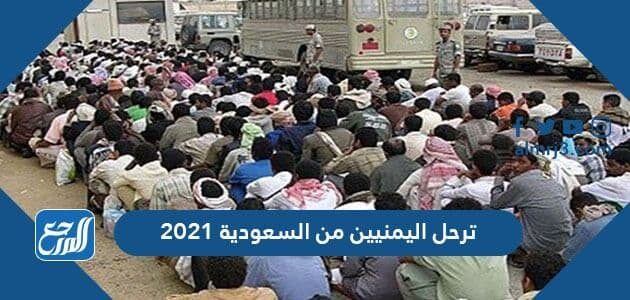 من هاشتاق ترحيل السعودية اليمنيين قرارات جديدة