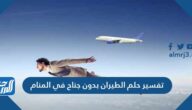 تفسير حلم الطيران بدون جناح في المنام لابن سيرين والنابلسي وابن شاهين