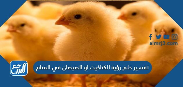 تفسير حلم رؤية الكتاكيت او الصيصان في المنام