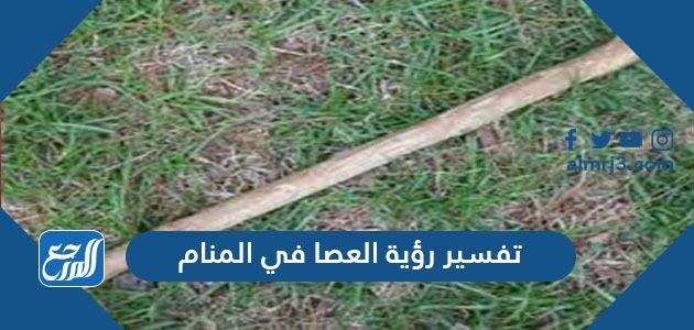 تفسير رؤية العصا في المنام