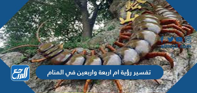 تفسير رؤية ام اربعة واربعين في المنام
