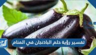 تفسير رؤية حلم الباذنجان في المنام بالتفصيل للمتزوجة والعزباء