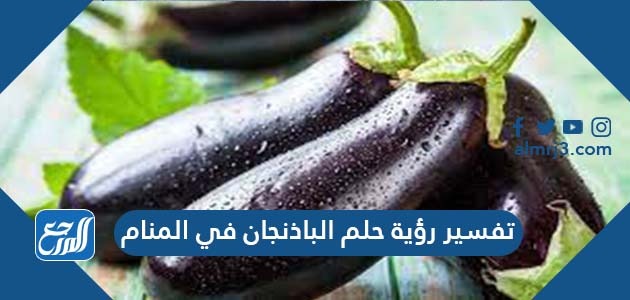 تفسير رؤية حلم الباذنجان في المنام