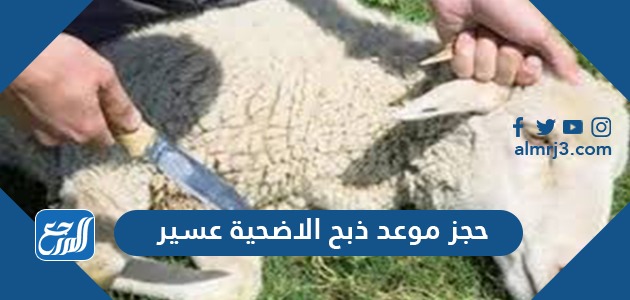 حجز موعد ذبح الاضحية عسير