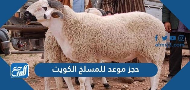 حجز موعد للمسلخ الكويت