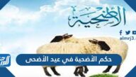 حكم الأضحية في عيد الأضحى