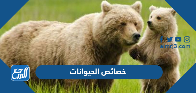 خصائص الحيوانات