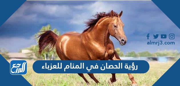 رؤية الحصان في المنام للعزباء