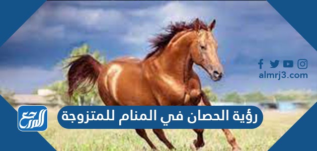 رؤية الحصان في المنام للمتزوجة