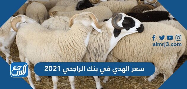 سعر الهدي في بنك الراجحي 2021