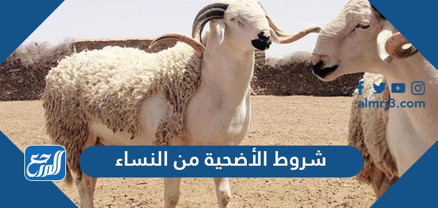 شروط الأضحية من النساء