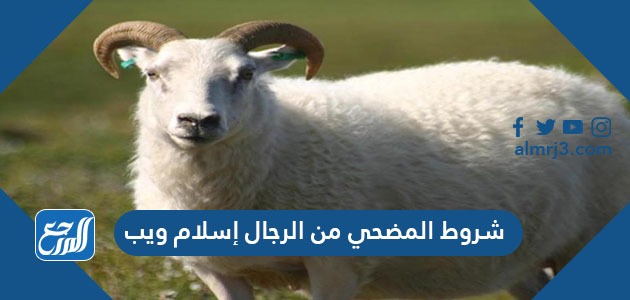 شروط المضحي من الرجال إسلام ويب