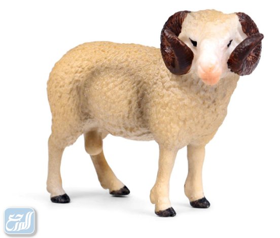 ثيمات عيد الاضحى