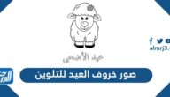صور خروف العيد للتلوين 2025
