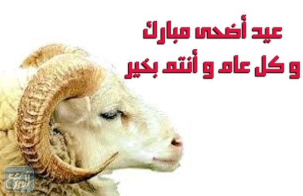 صور سكرابز خروف العيد 2021