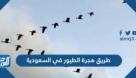 طريق هجرة الطيور في السعودية