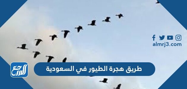 طريق هجرة الطيور في السعودية
