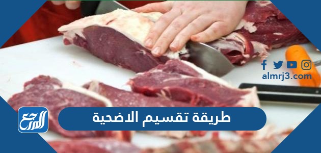 طريقة تقسيم الاضحية