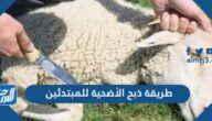 طريقة ذبح الأضحية للمبتدئين