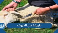 طريقة ذبح الخروف في الإسلام وسلخه وتنظيفه بالتفصيل