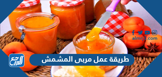 طريقة عمل مربى المشمش