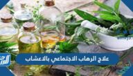 علاج الرهاب الاجتماعي بالاعشاب والأدوية وأسبابه وعوامل خطر الاصابه به