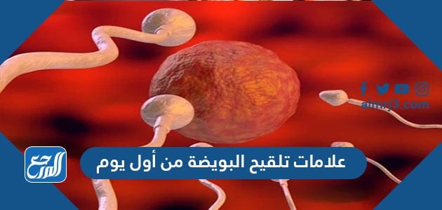 علامات تلقيح البويضة من أول يوم