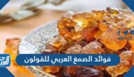 فوائد الصمغ العربي للقولون والجهاز الهضمي