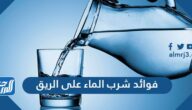 ما هي فوائد شرب الماء على الريق وما الاطعمة الغنية بالماء