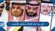 كم عدد ابناء الملك سلمان بالترتيب